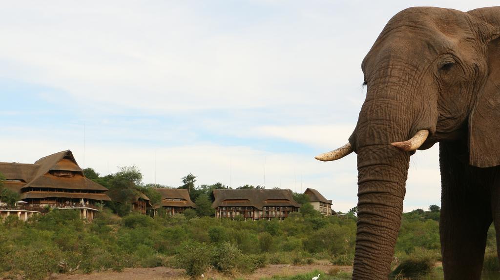 Victoria Falls Safari Suites ภายนอก รูปภาพ
