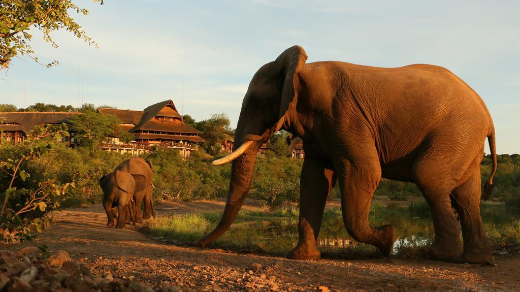 Victoria Falls Safari Suites ภายนอก รูปภาพ